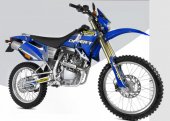 2008 Factory Bike Desert YR125 photo